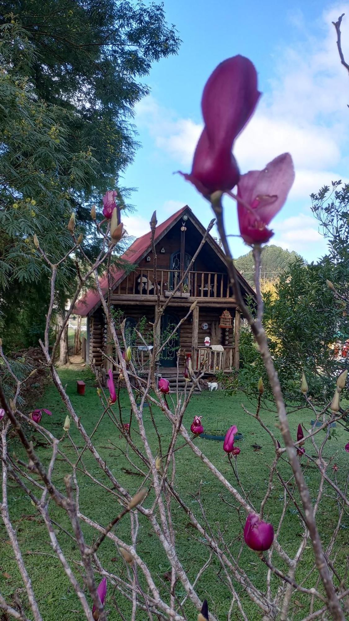 Casa De Toras Ξενοδοχείο Campo Alegre  Εξωτερικό φωτογραφία