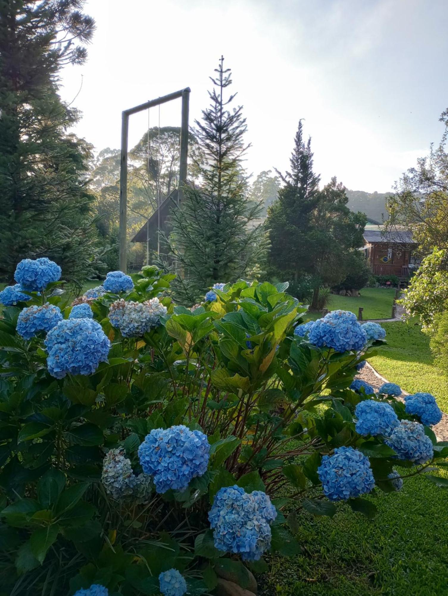 Casa De Toras Ξενοδοχείο Campo Alegre  Εξωτερικό φωτογραφία